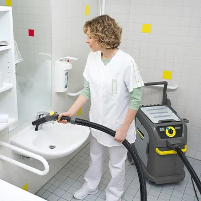 Steam Cleaners