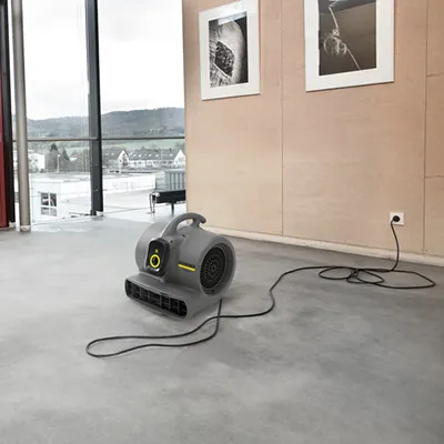 Carpet & Upholstery Cleaners